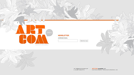 Artcom Conseils — Identity — Print & Website